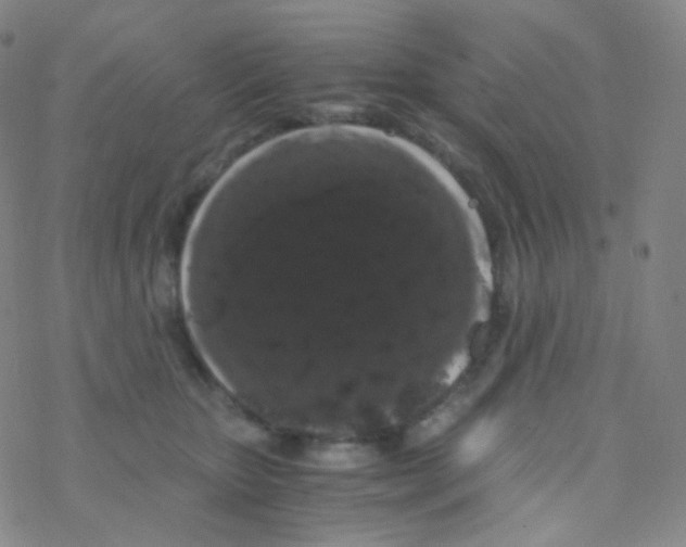 X0000076270467200610262035