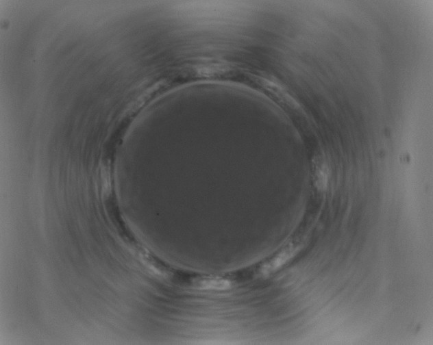 X0000076270471200610262035