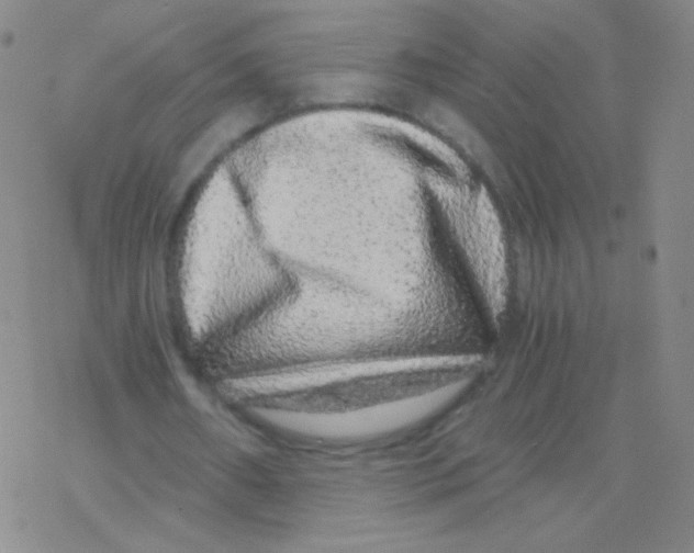 X0000076270482200610262034