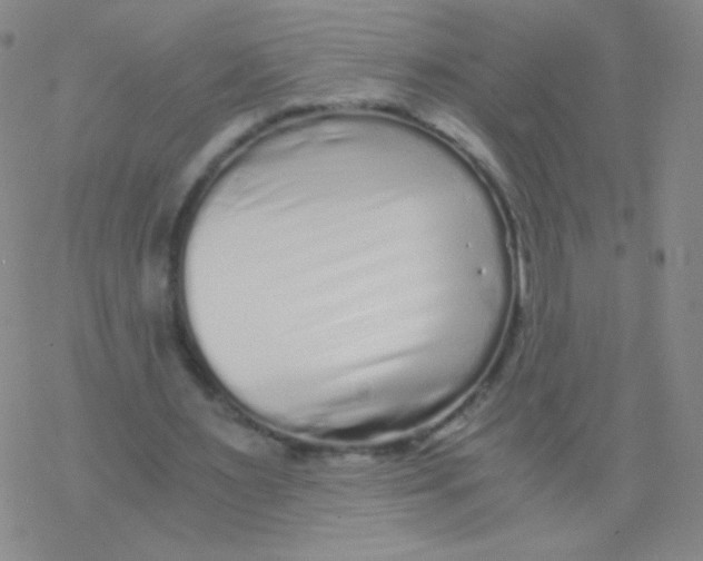 X0000076270483200610262034