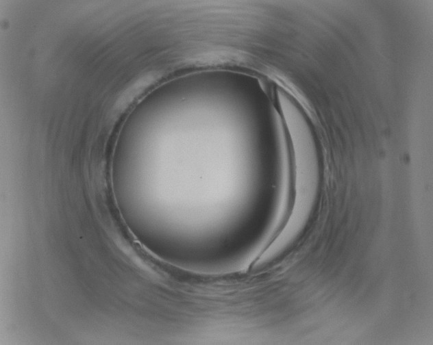 X0000076270485200610262034