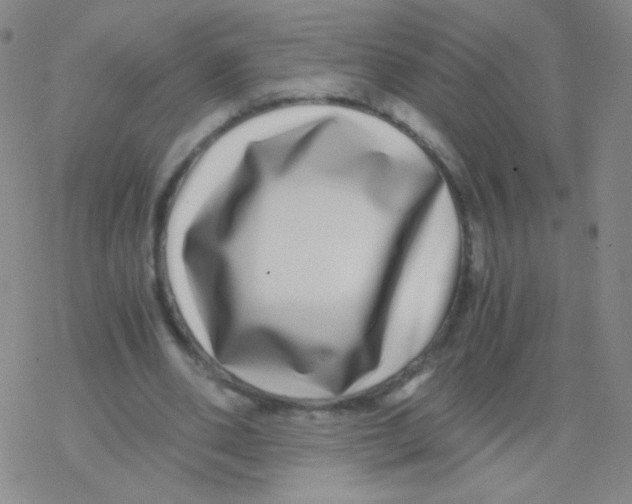 X0000076270486200610262034