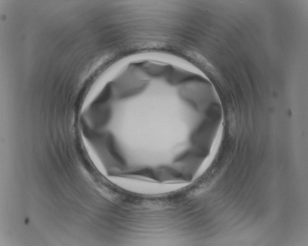 X0000076270490200610262034