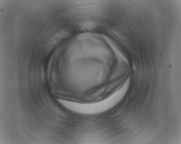 X0000076270508200610262034