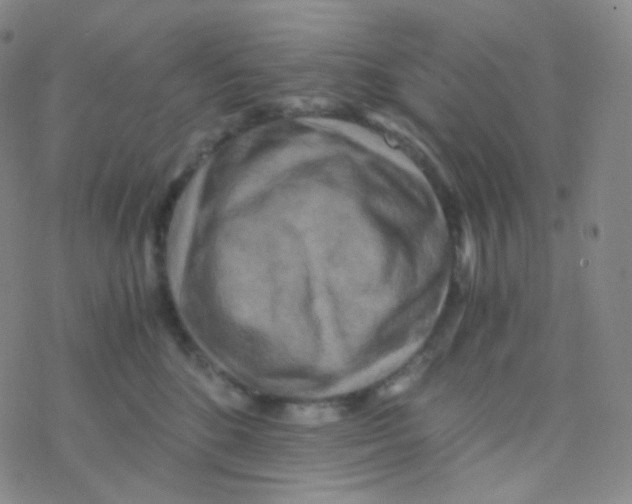 X0000076270520200610262034
