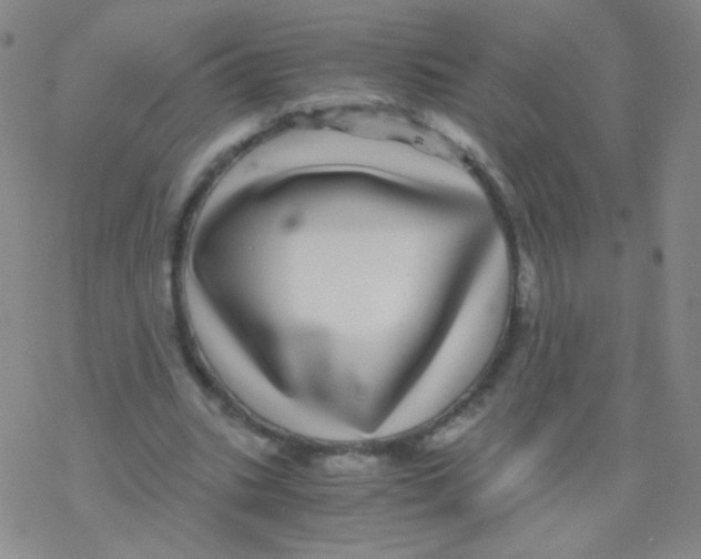 X0000076270535200610262033