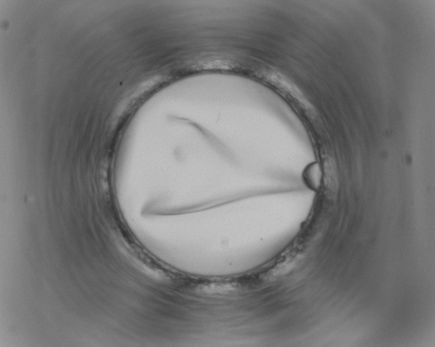 X0000076270537200610262033