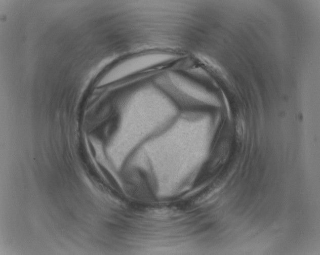 X0000076270540200610262033