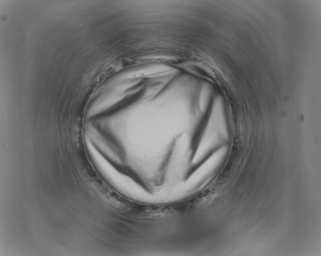 X0000076270545200610262033