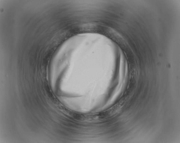 X0000076270557200610262033