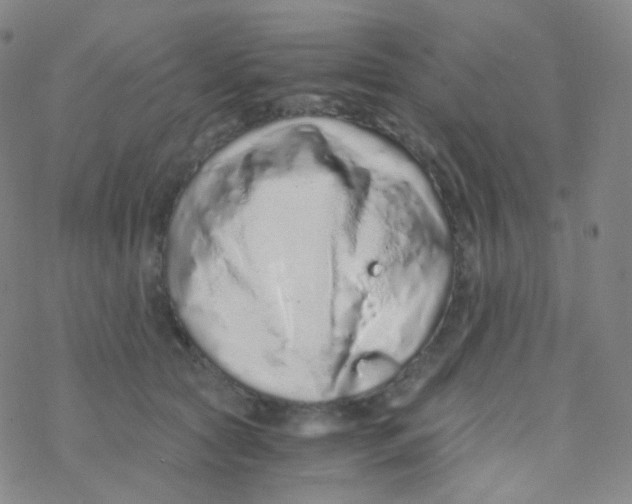 X0000076270561200610262033