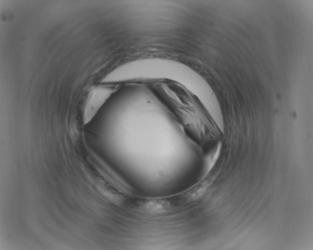 X0000076270566200610262033