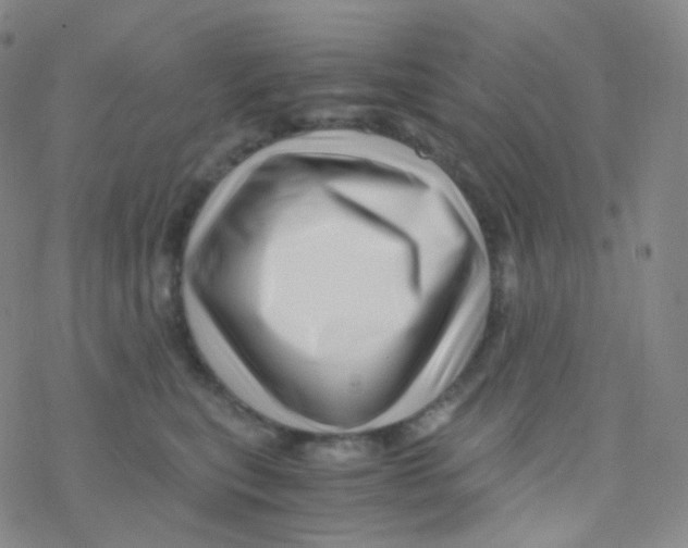 X0000076270567200610262033