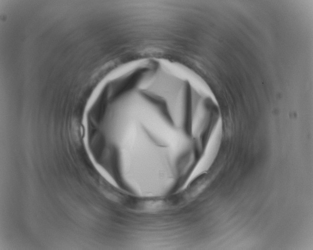 X0000076270575200610262033