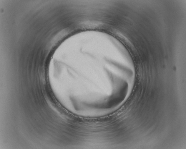 X0000076270582200610262033