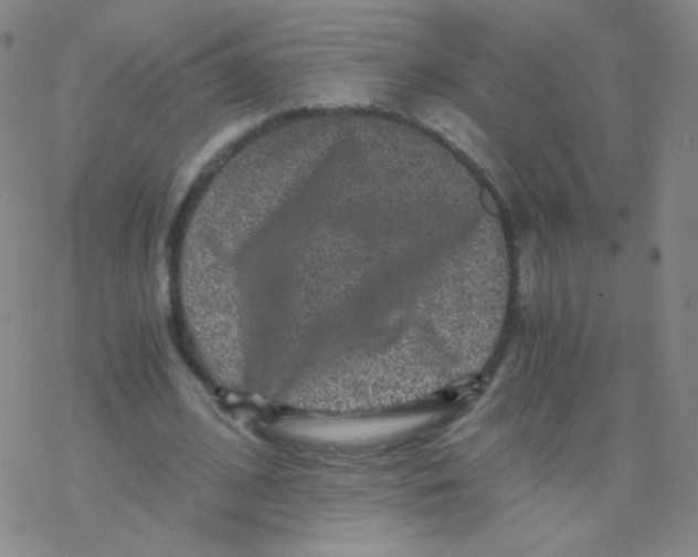 X0000076270584200610262032