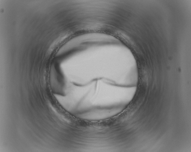 X0000076270586200610262032