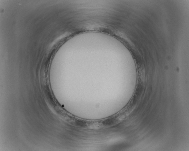 X0000076270587200610262032