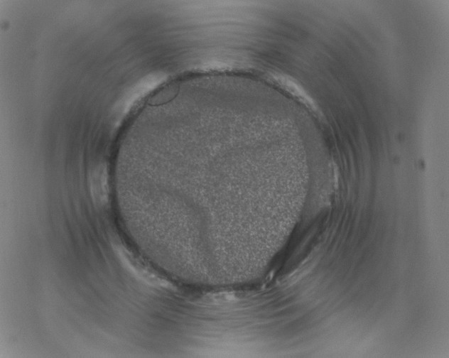 X0000076270588200610262032