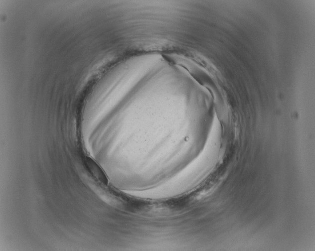 X0000076270589200610262032