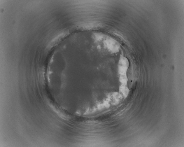 X0000076270590200610262032