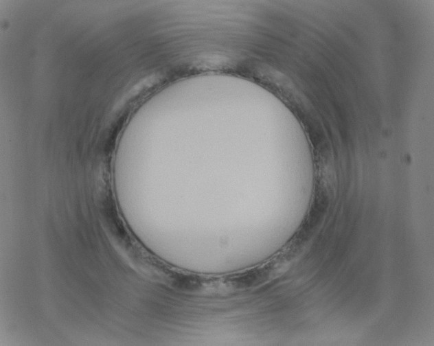 X0000076270591200610262032