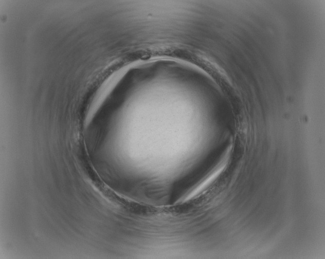 X0000076270593200610262032