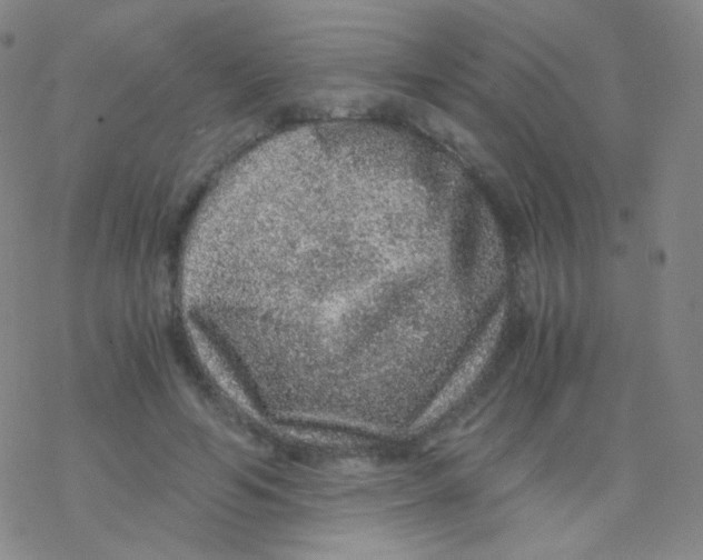 X0000076270594200610262032