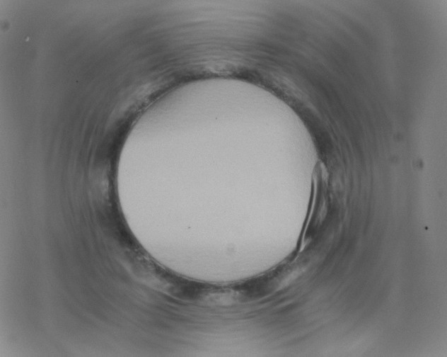 X0000076270595200610262032