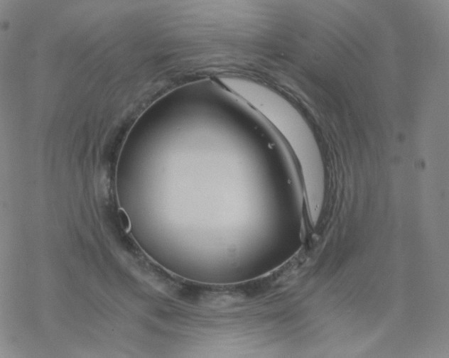 X0000076270597200610262032