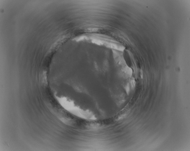 X0000076270598200610262032