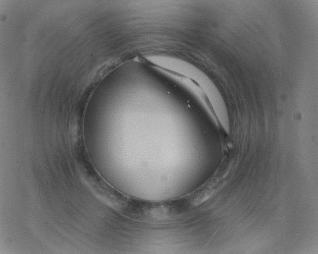 X0000076270600200610262032