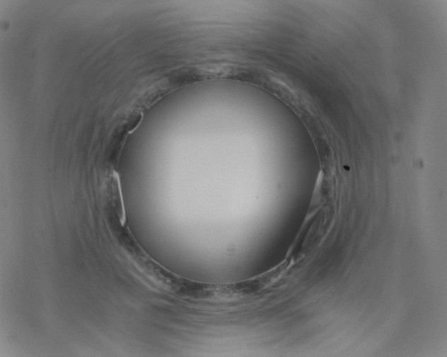 X0000076270601200610262032