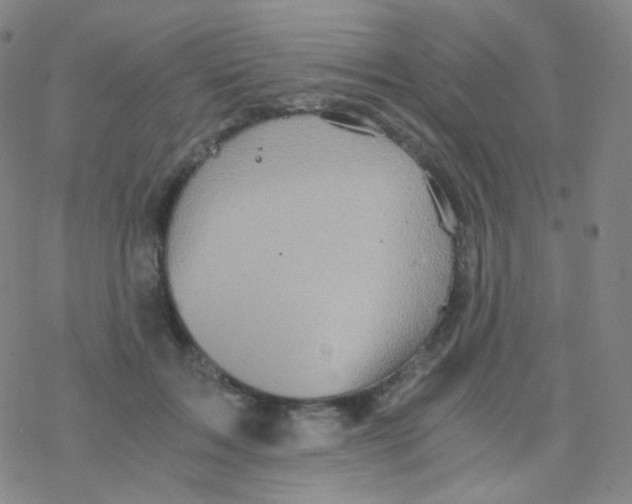 X0000076270603200610262032