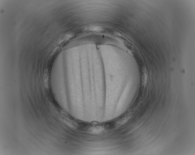 X0000076270604200610262032