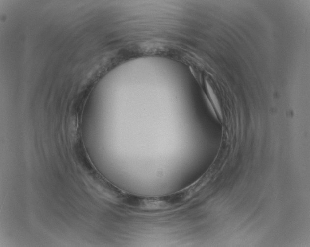 X0000076270605200610262032