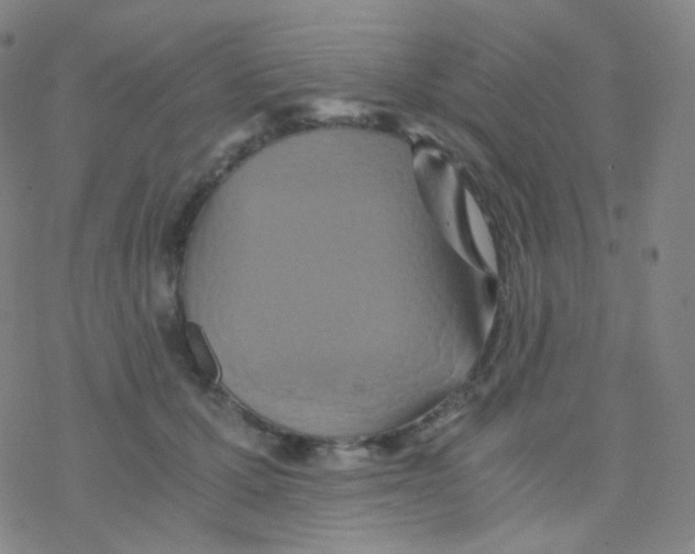 X0000076270607200610262032