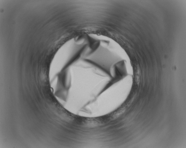 X0000076270608200610262032