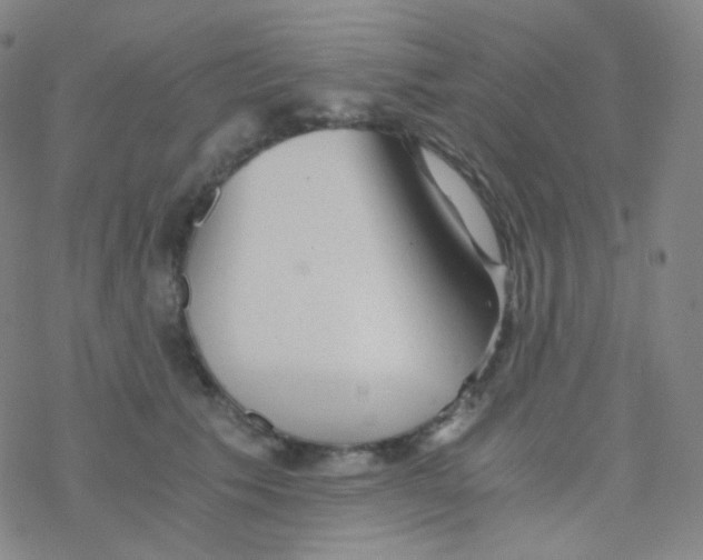 X0000076270609200610262032