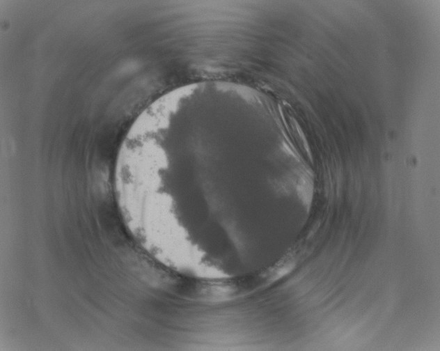 X0000076270610200610262032