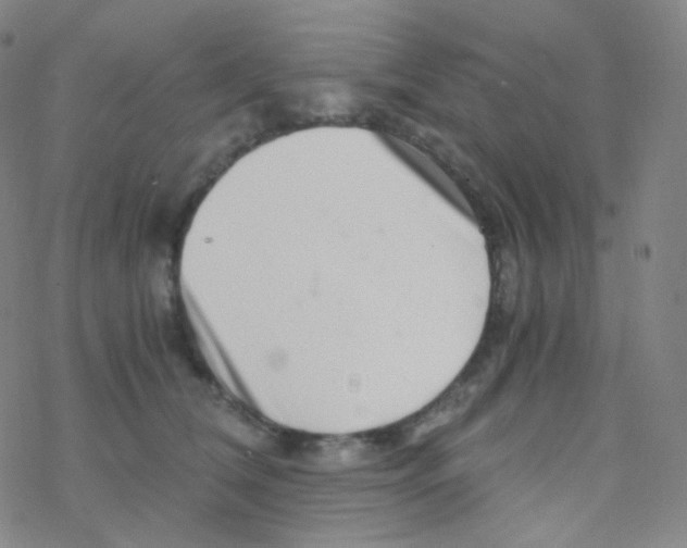 X0000076270612200610262032