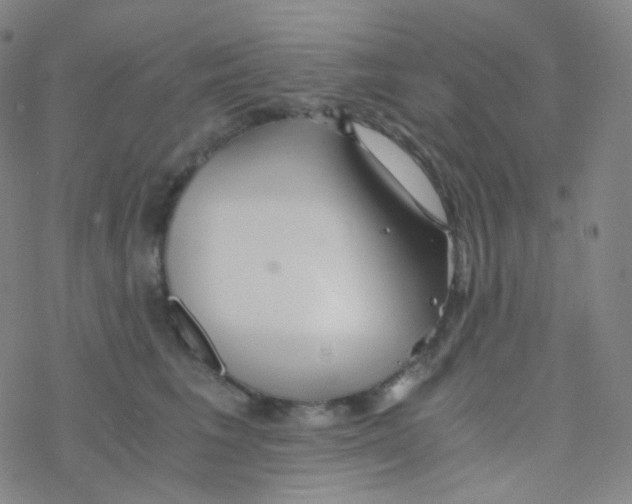 X0000076270613200610262032