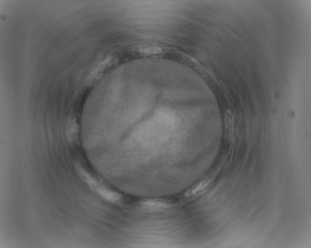 X0000076270614200610262032