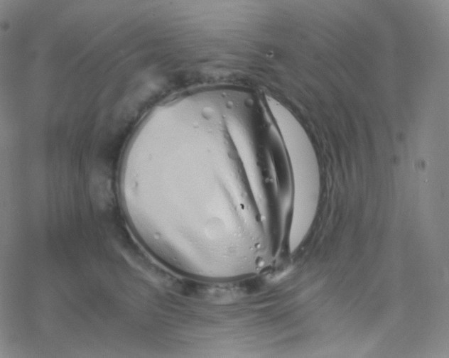 X0000076270615200610262032