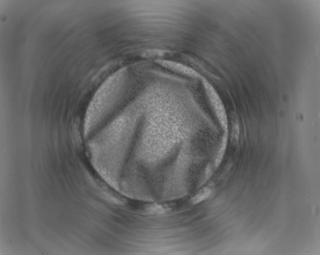 X0000076270616200610262032