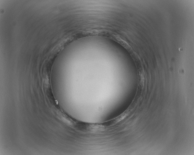 X0000076270617200610262032