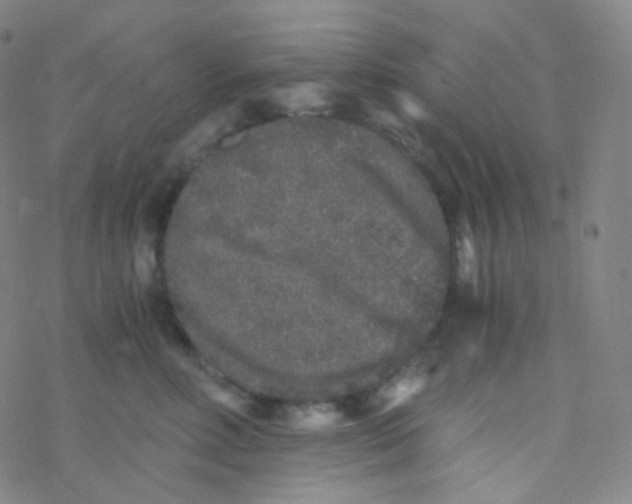 X0000076270618200610262032