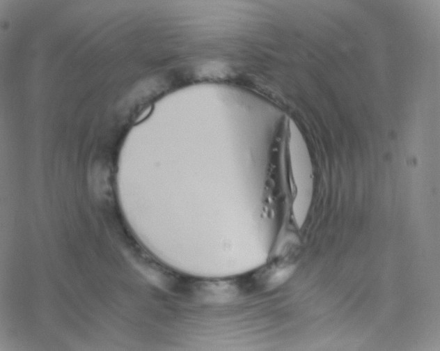 X0000076270619200610262032