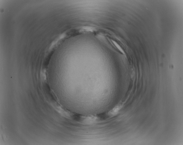 X0000076270621200610262032