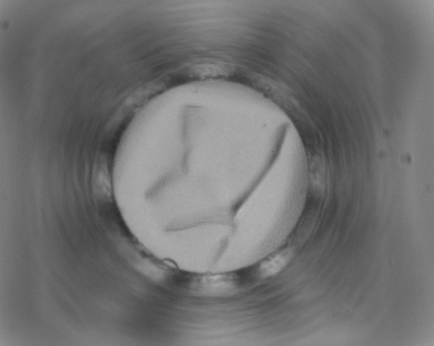 X0000076270622200610262032